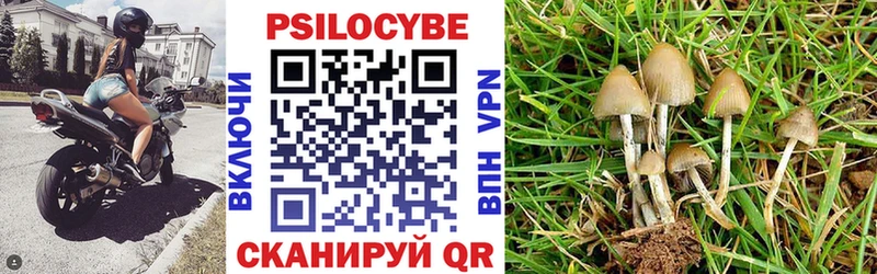 Псилоцибиновые грибы GOLDEN TEACHER  Гаджиево 